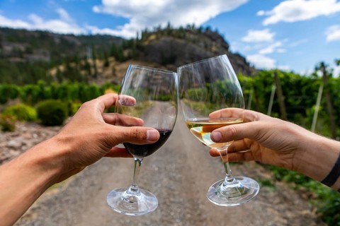 Hands holding and cheering a couple of red and white wine glasses selective focus close up view