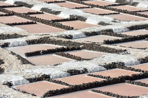 Picture Photo of Salt Flats in the Canry islands