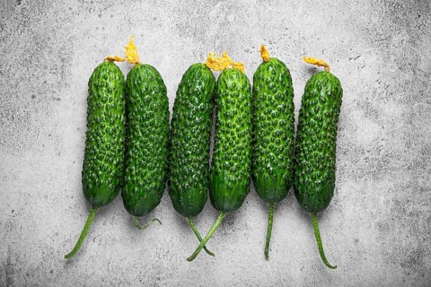 Fresh raw organic farmer cucumbers with leafs arranged on grey rustic stone background top view,