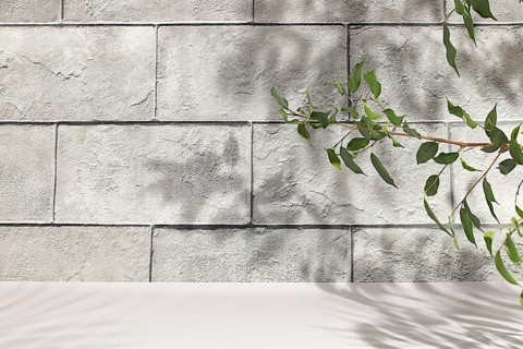 Concrete wall with hard shadows from palm leaves, Premium empty podium.Minimal abstract background