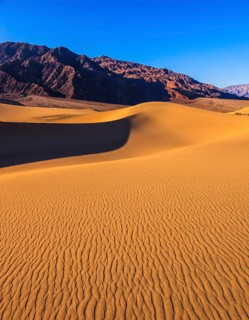 Bright solar morning in picturesque part of Death Valley. Gentle slopes of sandy barkhans shine
