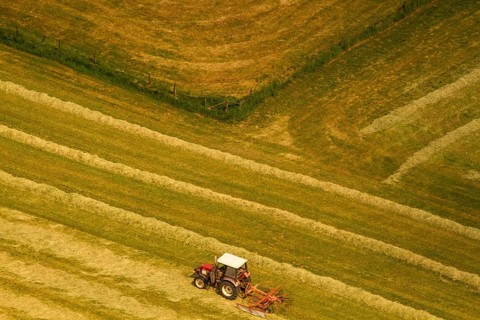Agriculture, Farm with a tractor on a field, Diagonals, Field, Fields