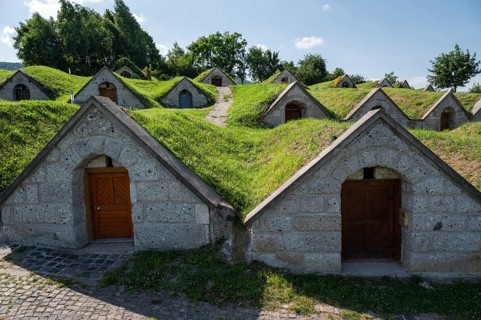 Wine cellars with green roofs in Hercegkut, Hungary