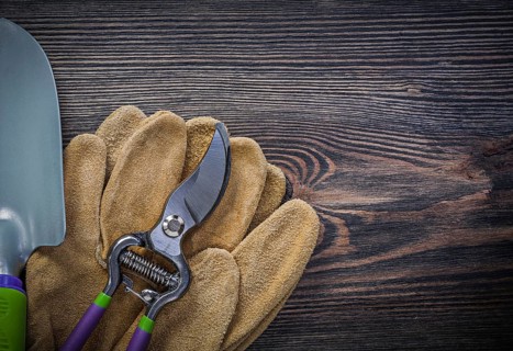 Spade pruning shears safety gloves on wooden board gardening concept