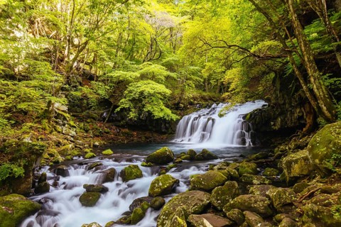 The magnificent Tateshina Otaki Falls on the famous Venus Line road, famous as a scenic driving
