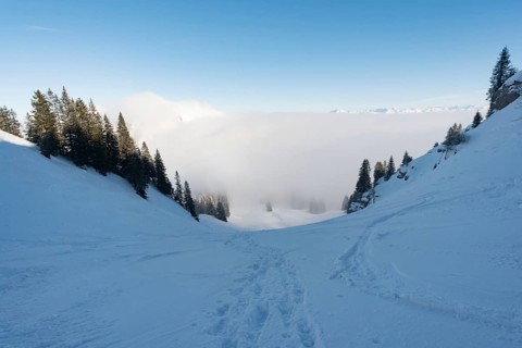 Fantastic snowshoe tour on the Hochgrat at the Nagelfluhkette in Allgau, Bavaria