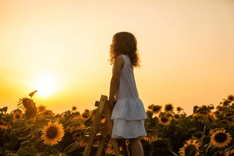 Happy child girl on the top of ladder, against sunflowers field at sunset. Kids dream