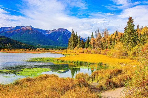 Small swamp on the shores of Lake Vermillon. The water is covered in green mud. Indian summer in