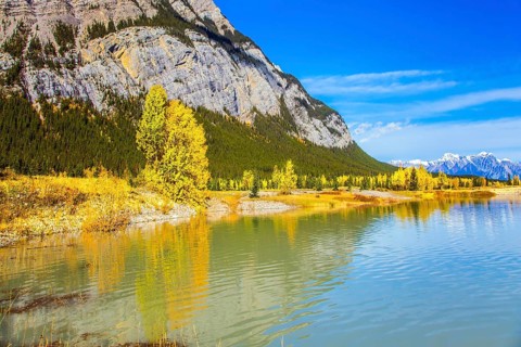 Rocky Mountains are reflected in the smooth water of Lake Abraham. Indian Summer in the Rockies of