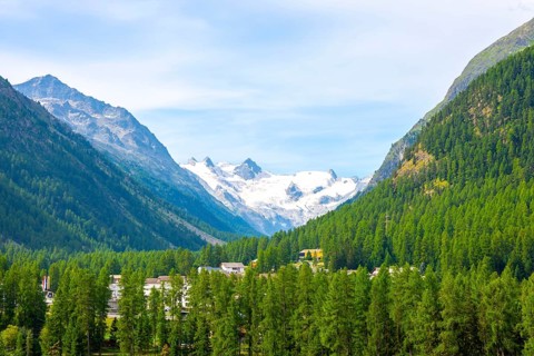 Beautiful View over the Swiss Alps with Glacier Morteratsch, Piz Bernina (4, 049 m), Piz Palü (3,
