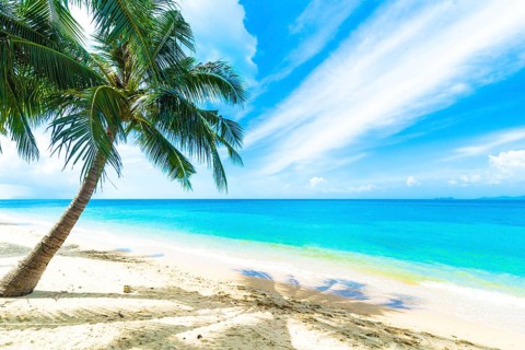 A beautiful beach on a tropical island