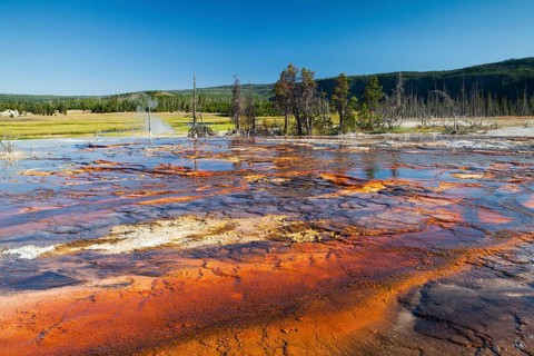 Geothermal landscape in Yellowstone National Park