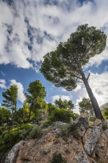 Majorca Northern coastal route