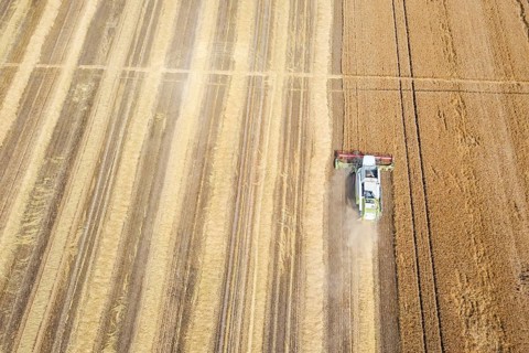 Combine harvester working on a wheat field. Combine harvester Aerial view