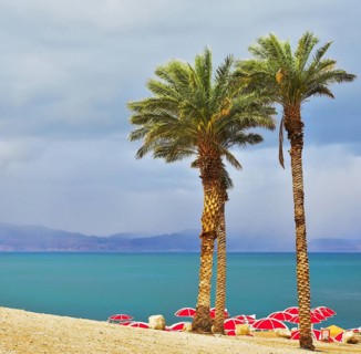 Three picturesque palm trees and bright red beach canopies on a beach of the Dead Sea in a