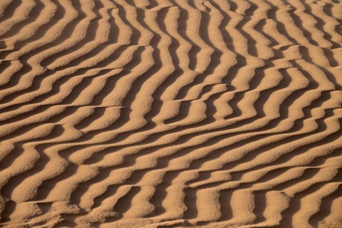 Background of sand dunes in Sahara desert