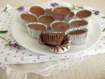 Homemade ice cream confectionery with cocoa, icing sugar and coconut oil in aluminium moulds
