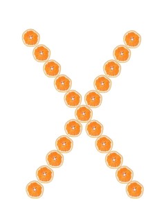 Letter X from orange slices isolated on white background