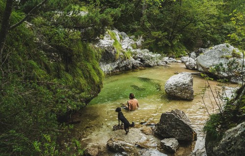 Belluno, Veneto, Italy, A person and a dog discover a small river among rocks and trees