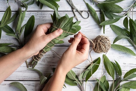 Sage leaf bundle in hands, hemp string and scissors on old wooden table