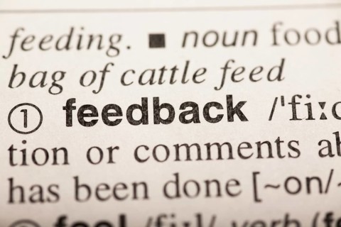 Feedback, word in dictionary. macro shot. selective focus