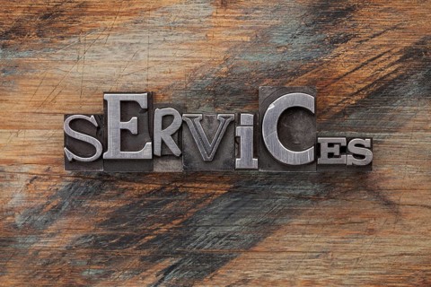 Services - word in vintage letterpress metal type blocks on a grunge painted wood