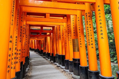 Kyoto, Japan - May 15 2019: Red Tori Gate at Fushimi Inari Shrine in Kyoto, Japan. One of the