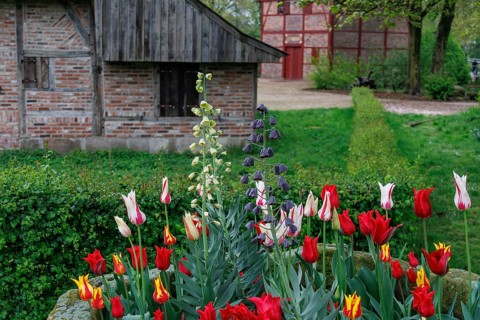 A colourful flower bed full of tulips in front of a half-timbered house, surrounded by lush