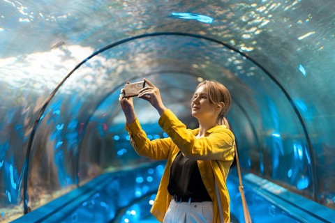 Eine Frau in einem Unterwassertunnel mit Meeresbewohnern