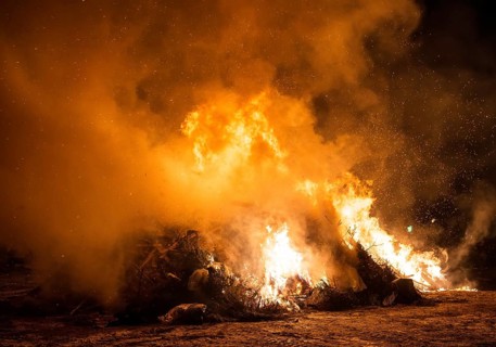 Waste incineration. Burning of trash and old trees