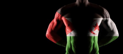 Sahrawi Arab Democratic Republic flag on muscled male torso with abs, black background