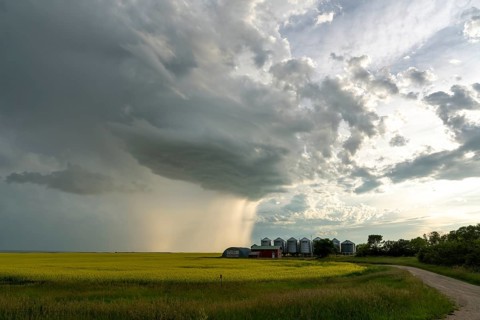Summer Storms in the Canadian Prairies Dramatic Scenes