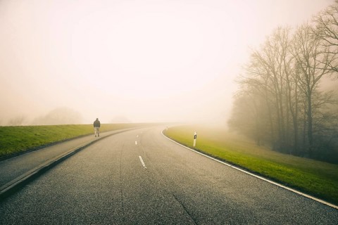 The Kraueler main dyke in the fog in Kirchwerder, Hamburg, Germany