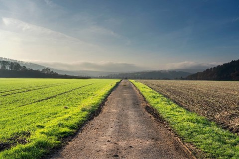 Path, straight ahead, Oberweser, Germany, German