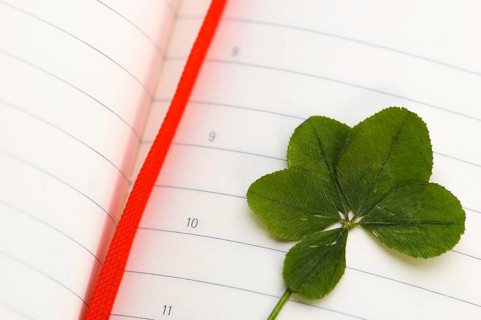 Four Leaf Clover and New Day