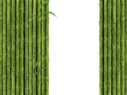 Bamboo Over The White Background