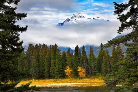 Northern wood and the river on a background snowed up mountain in clouds. More magnificent pictures