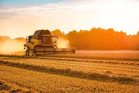 Big combine harvester threshing in the sunset