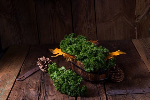 Kale Braßica oleracea
