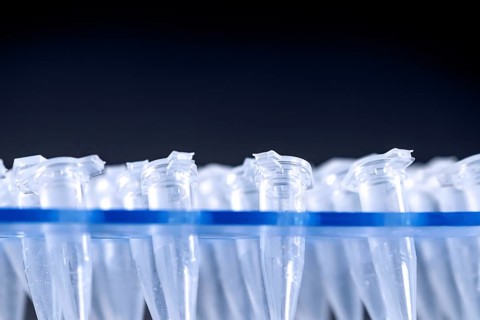 Science Plastic Test Centrifuge Tubes