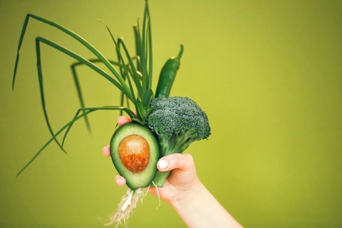 Unrecognizable female demonstrating bunch of healthy fresh vegetables while being on diet against