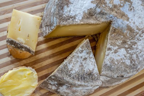 Tomme de Savoie, semi-soft cowmilk cheese with typical mould rind. French semi-soft cowmilk cheese