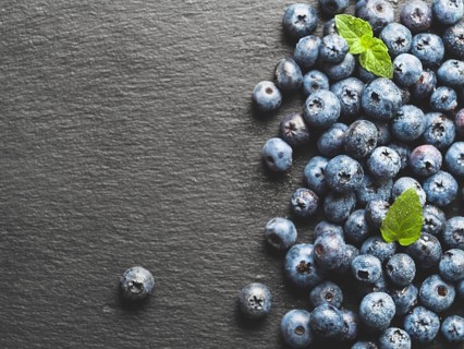 Top view of blueberries on gray slate background with copy space. Blueberry close up background.