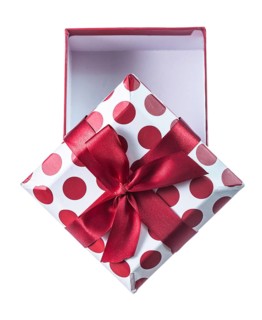 Opened red present box isolated on white