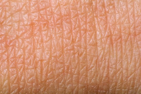 Human skin close up. Structure of Skin
