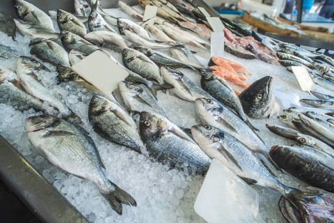 Fish on ice in the market. Greece, Athens, Piraeus