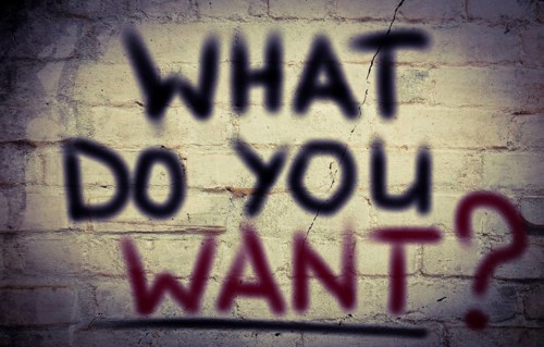 What Do You Want Concept