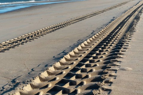 Rough tire tracks on the north sea beach