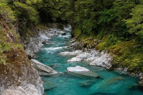 Colorful blue mountain river at the Haast pass, South Island of New Zealand