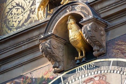 An image of the golden rooster at town hall Heilbronn astronomical clock